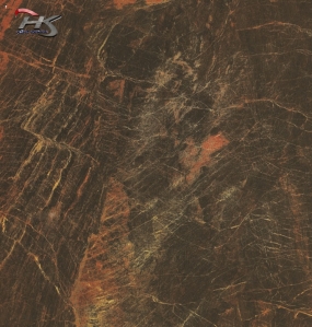 GẠCH BÓNG PH66813