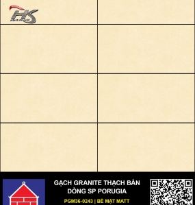 Gạch PGM36-0243