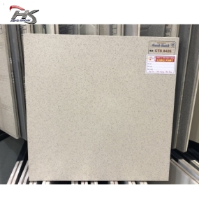 GẠCH ĐÁ LÁT SÂN VƯỜN 40X40 CTS4426