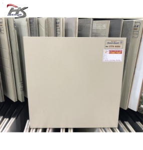 GẠCH ĐÁ LÁT SÂN VƯỜN 40X40 CTS4400