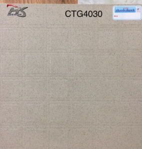 GẠCH ĐÁ LÁT SÂN VƯỜN 40X40 CTG4030