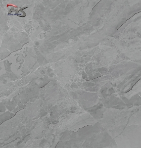 GẠCH BÓNG GDL66007