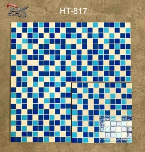 GẠCH TT HT-817 