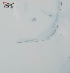 GẠCH BÓNG GDL66005