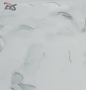 GẠCH BÓNG GDL66004