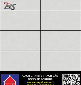 Gạch TGB36-0240/PGM36-0240