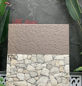 Gạch Trang Trí 30×60 Ấn Độ 1710