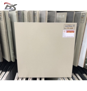 GẠCH ĐÁ LÁT SÂN VƯỜN 40X40 CTS4400