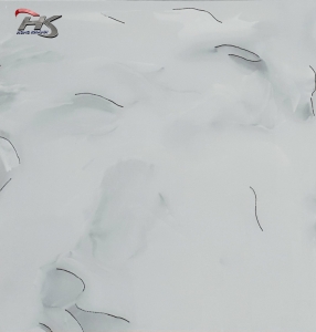 GẠCH BÓNG GDL66004