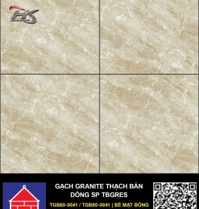 TGB60-0041.0/ TGB80-0041.0