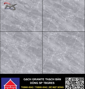 TGB60-0042.0/ TGB80-0042.0