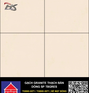 TGB60-0071.0/ TGB60-0071.0